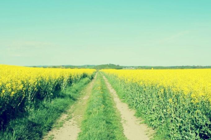 描写世界美丽的一段话