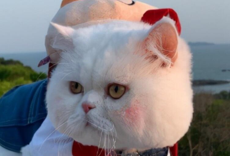 2024继续努力的句子文案朋友圈