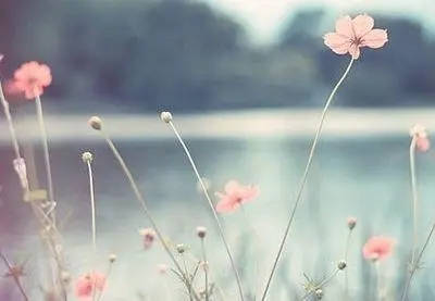 生活金句名言短句