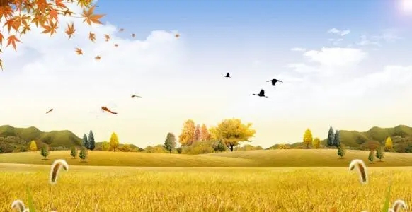 描写秋天的四字诗句文案