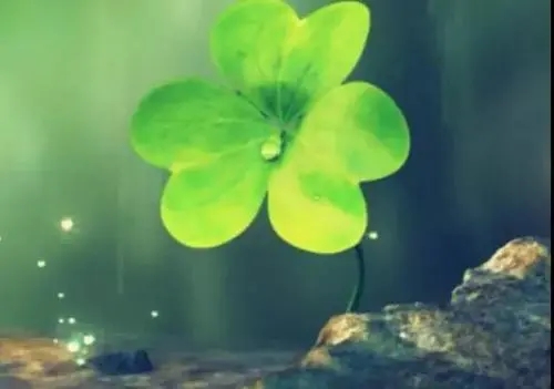 微信个性签名英文文案短语