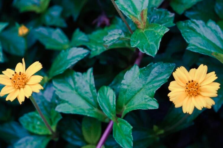 正能量签名简短