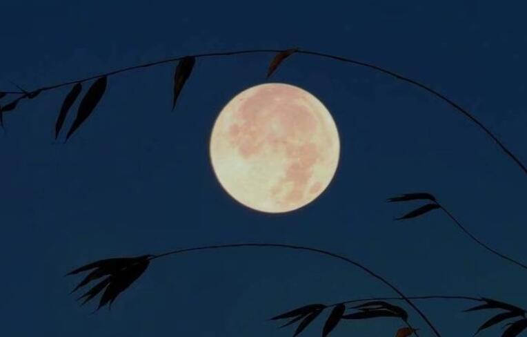 古风唯美祈愿的诗句文案