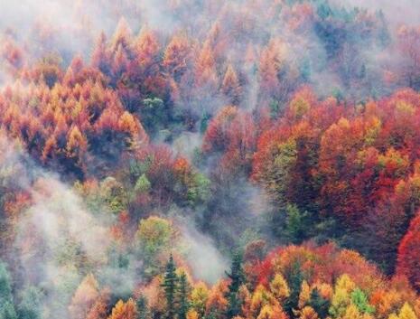 美文短句摘抄鼓励