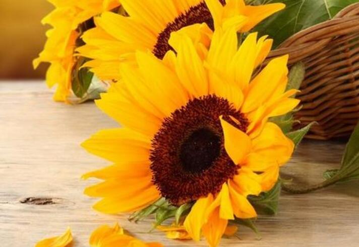 生活就是这么简单句子文案