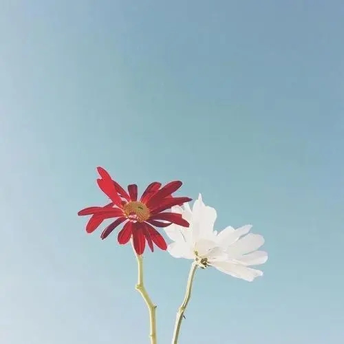 关于温暖的美句摘抄