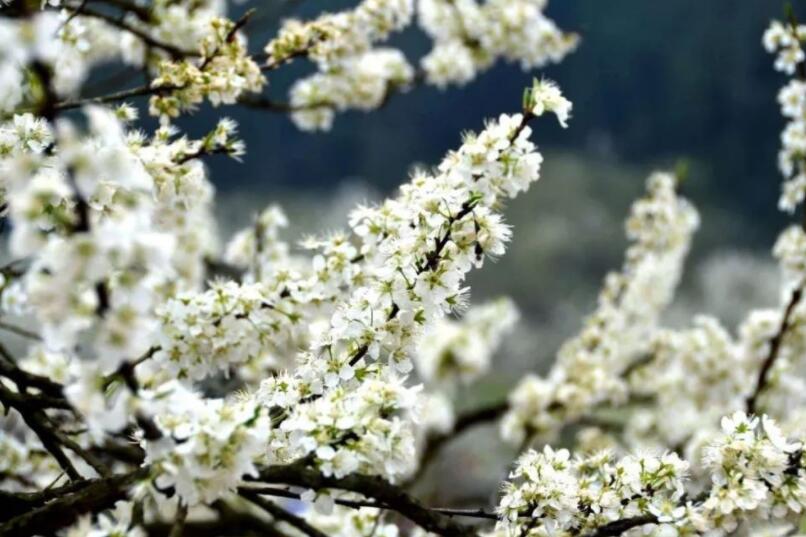 人去天堂美好的诗词