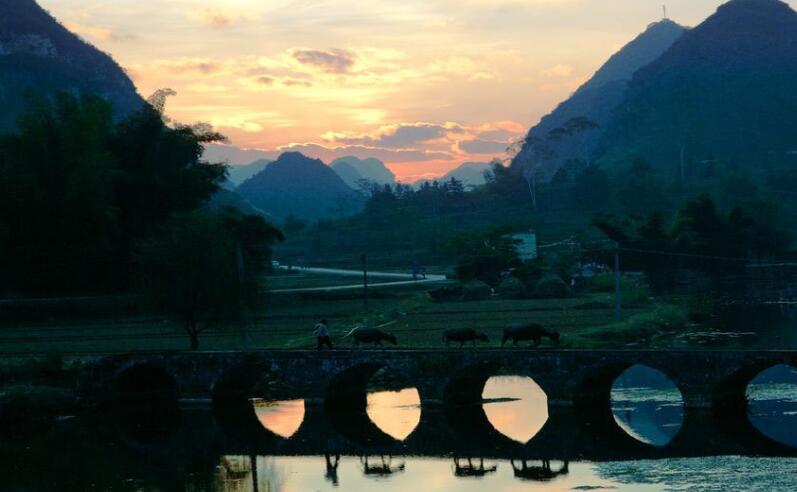 植物死了又复活了心情说说文案