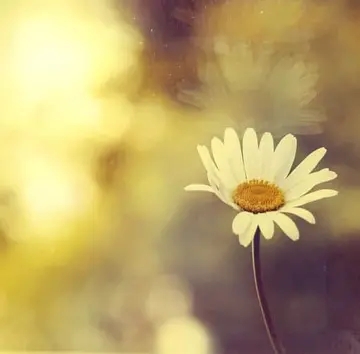 伤感的说说文案心情一段话