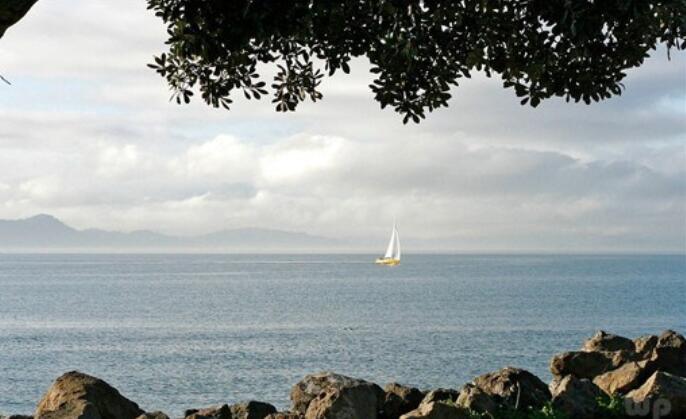 坚持不放弃的名言谚语