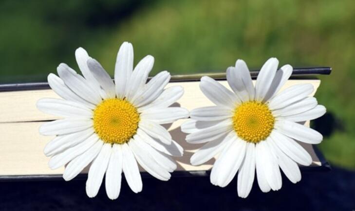 人品的语录文案