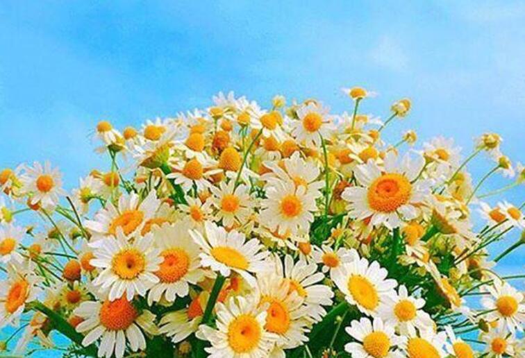 励志短语正能量霸气早安语