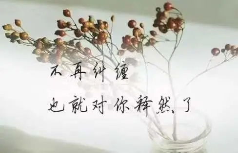 说话不知伤人的句子文案