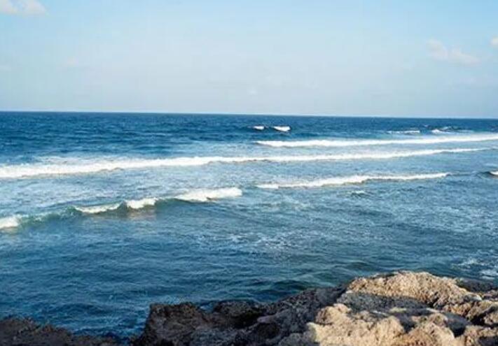 活着的经典名句文案