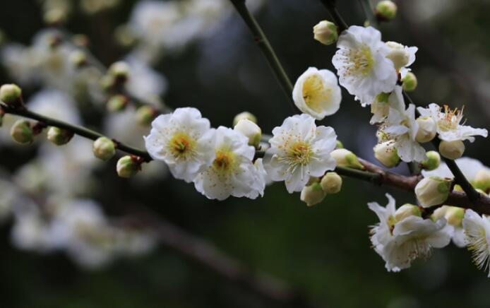 论语写的名言有哪些