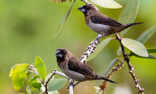 朋友圈秀老婆的话语