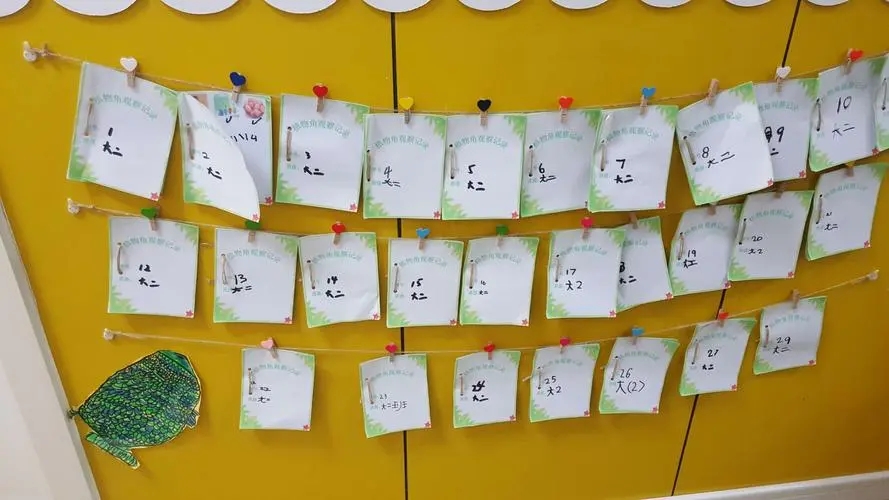 幼儿园观察笔记