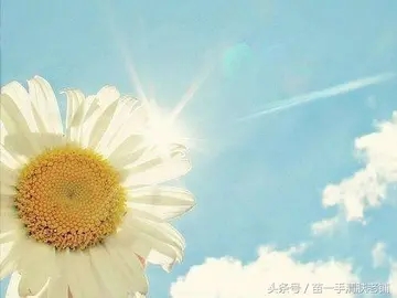 身体健康感悟经典语句文案