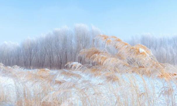 描写冬天美景的古诗