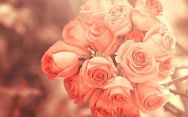 佛说幽默风趣句子文案