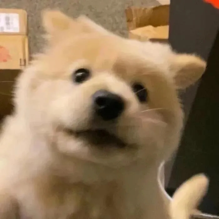 微信聊天自我介绍怎么写