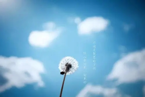 明天和意外完整句子文案