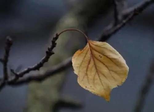 体会了人间冷暖的说说文案