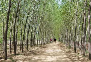 重回故地的感慨句子文案