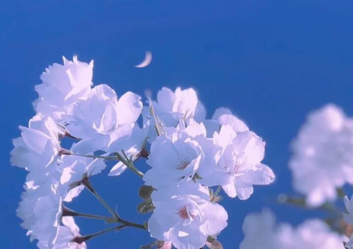 有关成长代价的句子文案