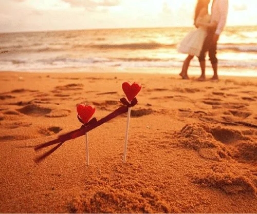 珍惜彼此感情的句子文案