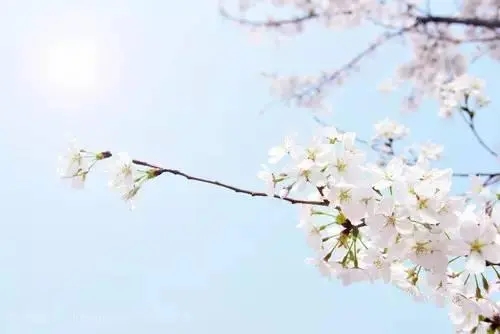 丁立梅名言名句文案