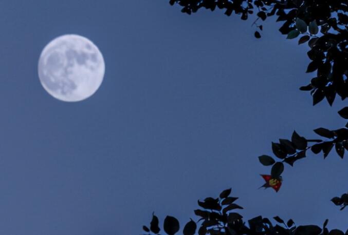 失眠期待天亮的句子文案