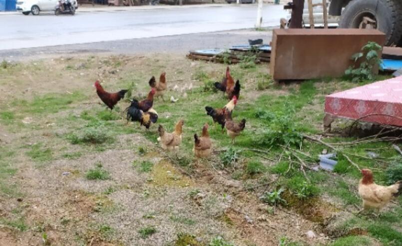 感受乡村气息的说说文案