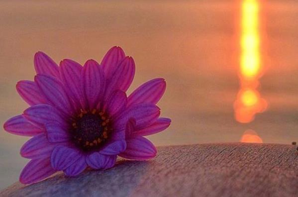 关于描写清晨的优美句子文案