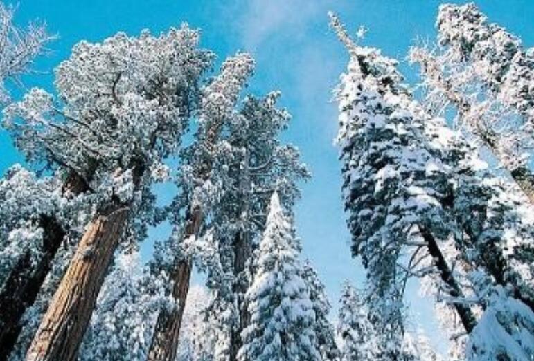 下雪过后的句子文案