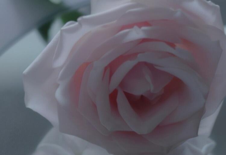 觉得自己好贱的说说文案