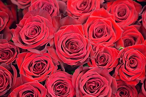 不想挽回感情的话