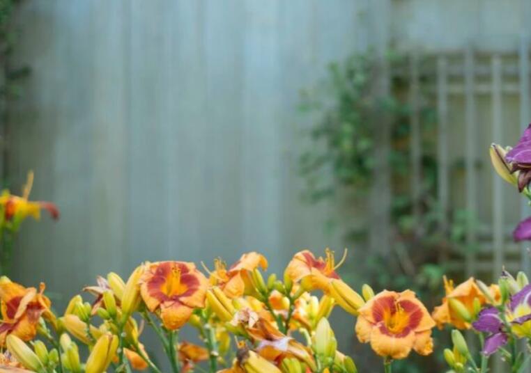 形容同学情谊的经典句子文案