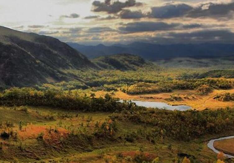 形容团队一起奋斗的诗句文案