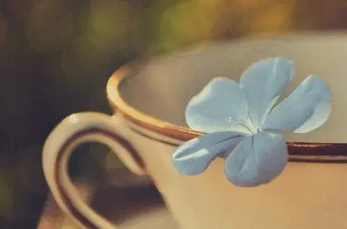 失望扎心的句子文案