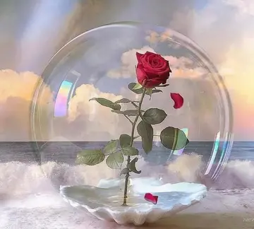 挂水适合发朋友圈的句子文案