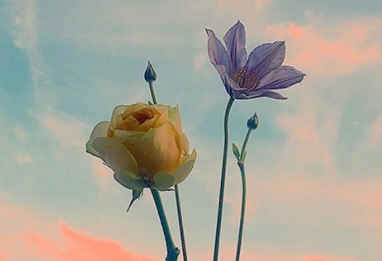 最暖心的早上问候语