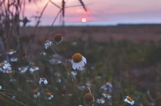 人生百味经典句子文案