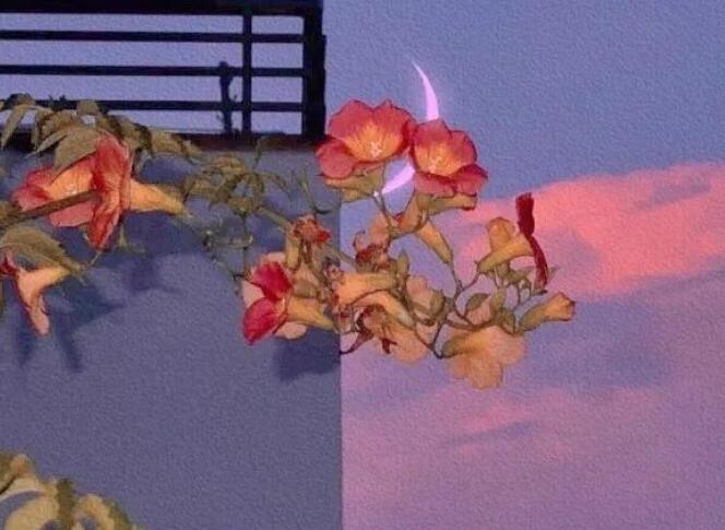 短句深意签名英文文案