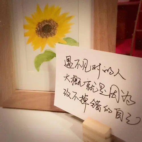 关于自己柔情的短句