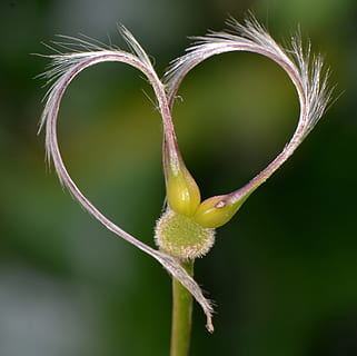 问候情人早上好的句子文案短语