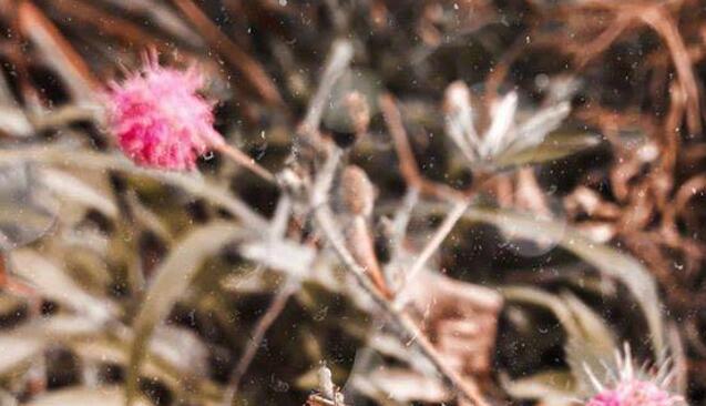 解除闺蜜关系的句子文案