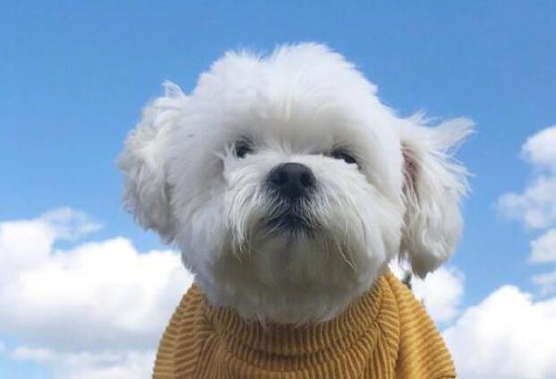 早安要努力的句子文案