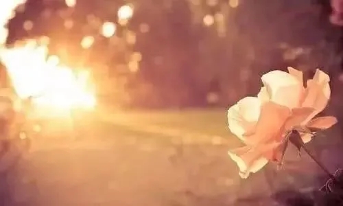 有种温暖叫被惦记短句