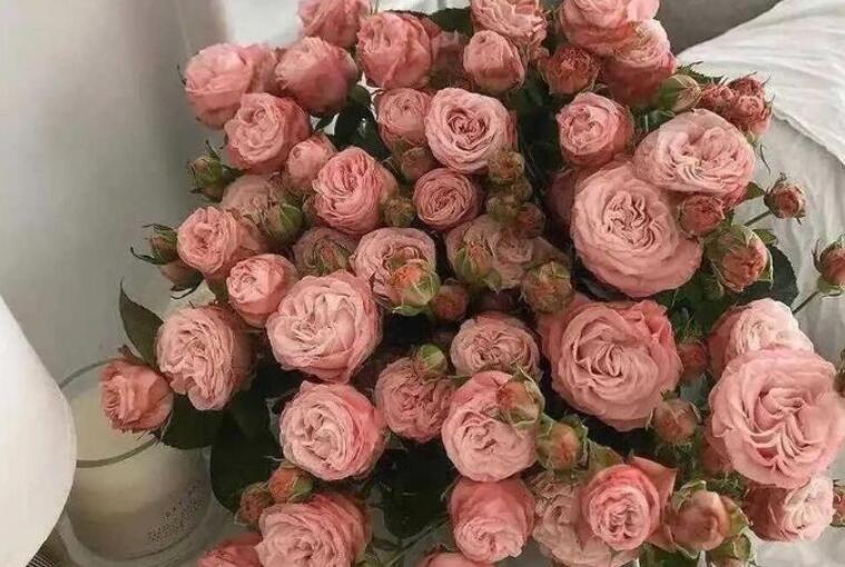 我喜欢你说说文案简短